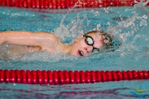 Putovný pohár SNV 2014