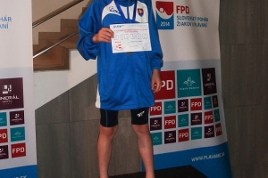 Veľká cena Dolného Kubína 